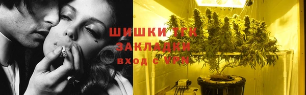эйфоретик Богданович