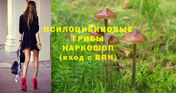 дурь Бородино