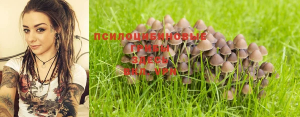 гашик Беломорск