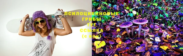 мет Белокуриха