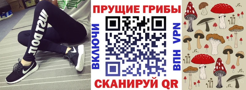 Купить где  Моршанск  Галлюциногенные грибы прущие грибы 