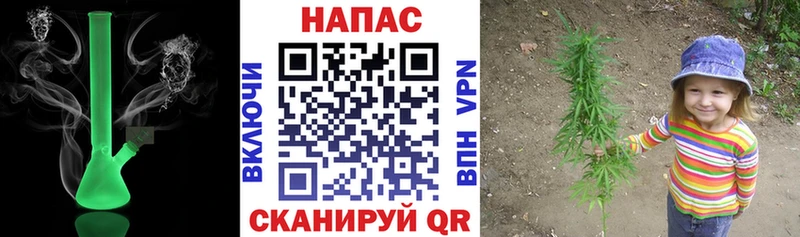 Купить  Моршанск  Канабис семена 